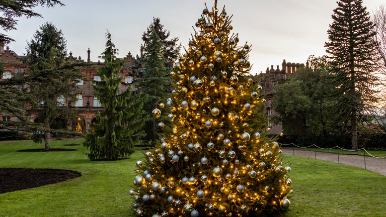 A large christmas tree decorated with lights, gold and silver baubles on the North Lawn with exterior of Hughenden Manor in the background, Hughenden, Buckinghamshire